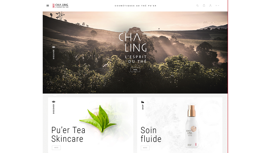 Cha Ling rituals, a combination between my passion for tea and for Asia –  Plumedaure