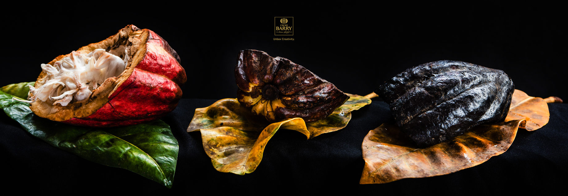 Cacao Barry Chocolat